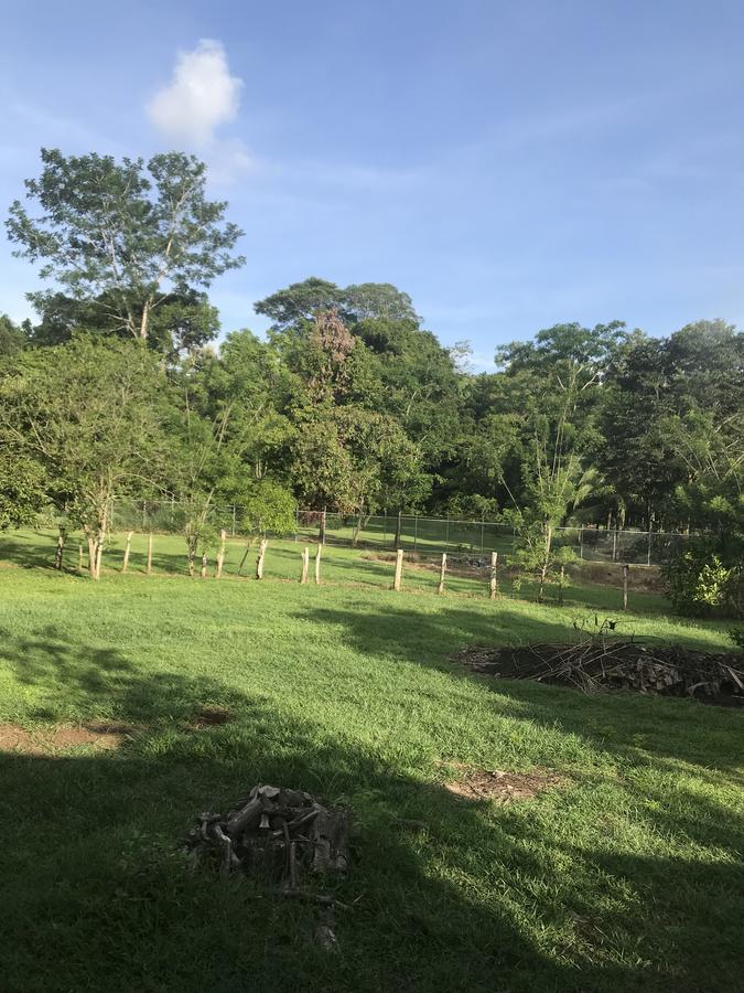 Villa Segura Manuel Antonio, 케포스 외부 사진